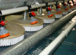 Artvin Halı Yıkama